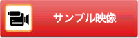 サンプル映像