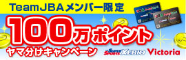 100万ポイント　ヤマ分けキャンペーン
