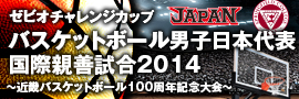 男子日本代表国際親善試合2014